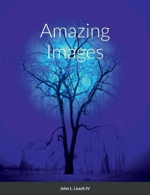 Book cover for Amazing Images