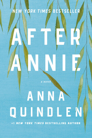 Book cover for After Annie
