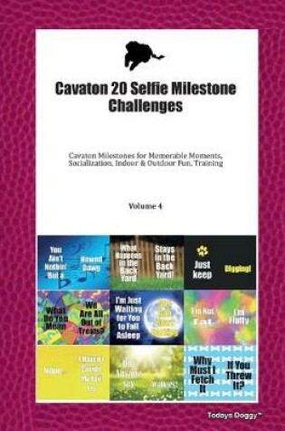 Cover of Cavaton 20 Selfie Milestone Challenges