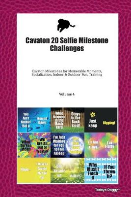 Book cover for Cavaton 20 Selfie Milestone Challenges