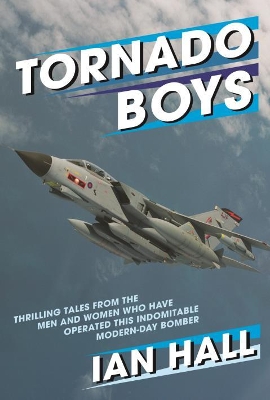 Book cover for Tornado Boys