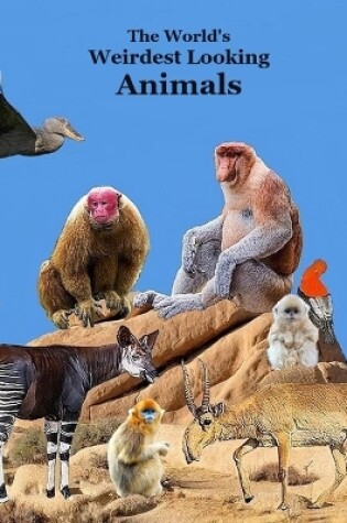 Cover of Weirdest Looking Animals in the World Kids Book