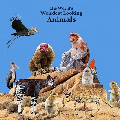 Book cover for Weirdest Looking Animals in the World Kids Book