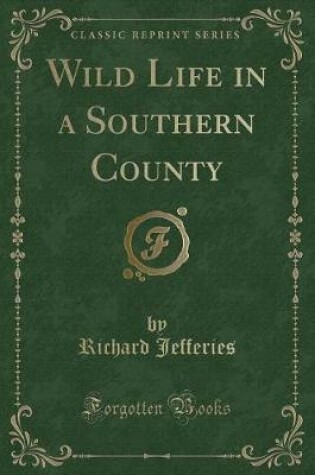 Cover of Wild Life in a Southern County (Classic Reprint)