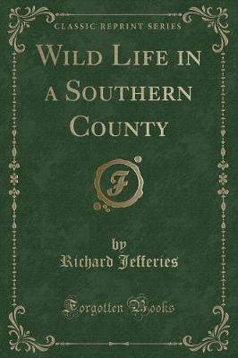 Book cover for Wild Life in a Southern County (Classic Reprint)