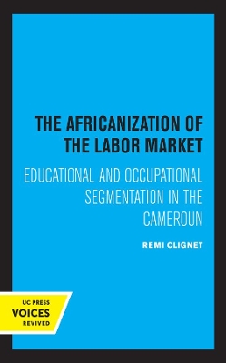 Book cover for The Africanization of the Labor Market