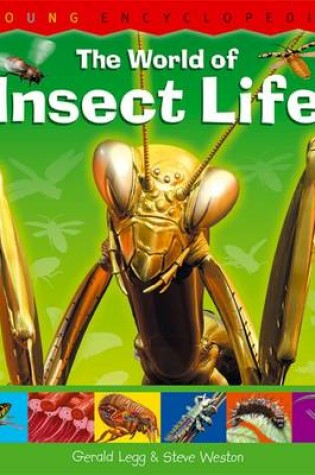 Cover of The World of Insect Life