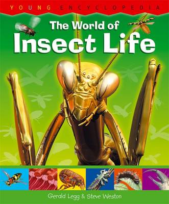 Cover of The World of Insect Life