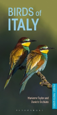 Book cover for Birds of Italy