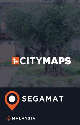 Book cover for City Maps Segamat Malaysia