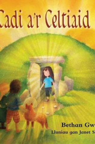 Cover of Cadi a'r Celtiaid