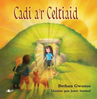 Book cover for Cadi a'r Celtiaid