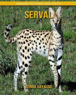 Book cover for Serval