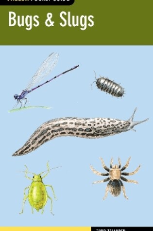 Cover of Bugs & Slugs