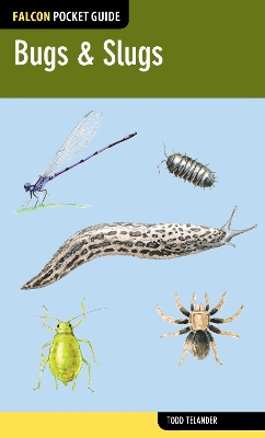 Book cover for Bugs & Slugs