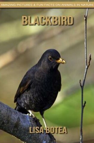 Cover of Blackbird