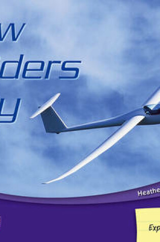 Cover of How Gliders Fly
