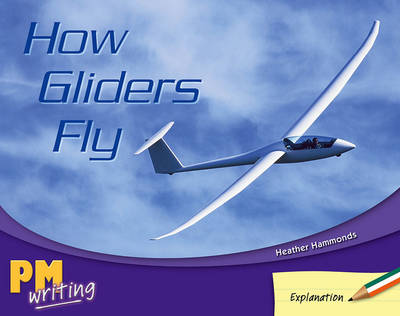 Book cover for How Gliders Fly