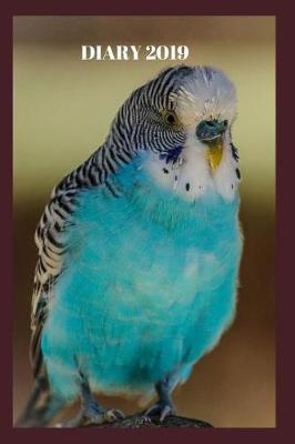 Book cover for Blue Budgies - Daily Diary 2019