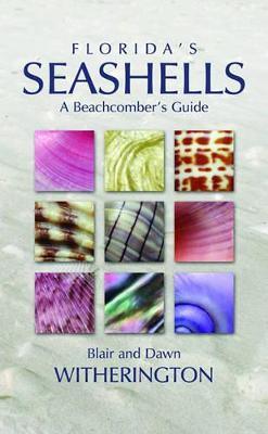 Book cover for Florida's Seashells