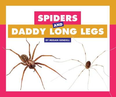 Book cover for Spiders and Daddy Long Legs