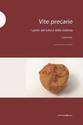 Book cover for Vite precarie