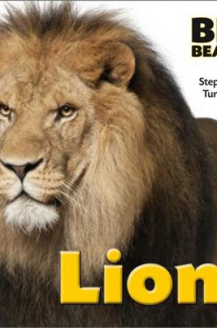 Cover of Lion