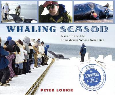 Book cover for Whaling Season