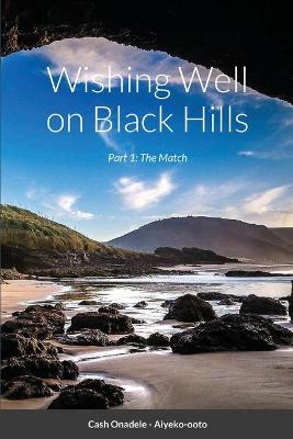 Book cover for Wishing Well on Black Hills