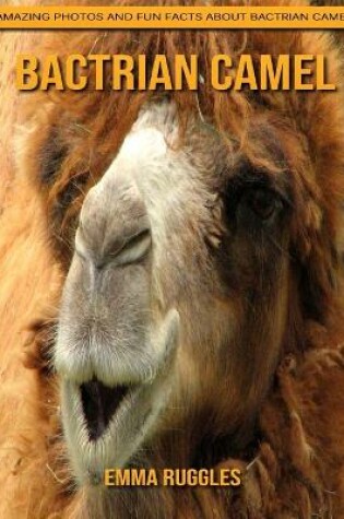 Cover of Bactrian camel