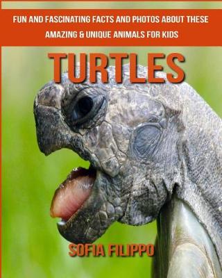 Book cover for Turtles