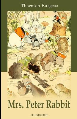 Book cover for Mrs. Peter Rabbit illustrated