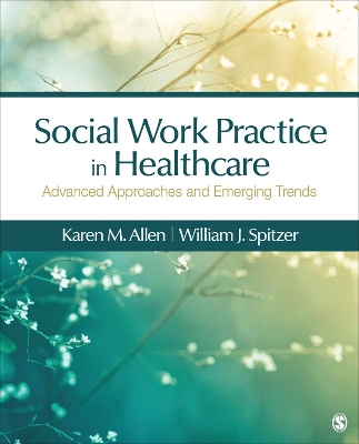 Cover of Social Work Practice in Healthcare