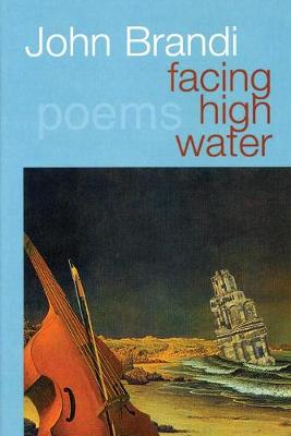 Book cover for Facing High Water