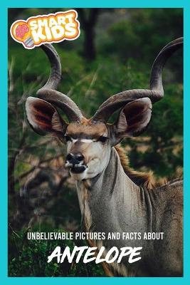 Book cover for Unbelievable Pictures and Facts About Antelope