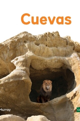 Cover of Cuevas (Caves)
