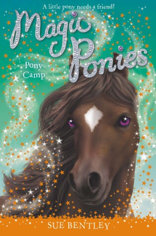 Cover of Pony Camp #8