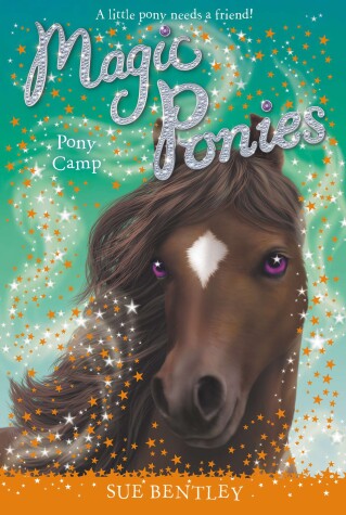 Book cover for Pony Camp #8