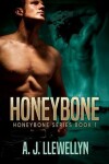 Book cover for Honeybone