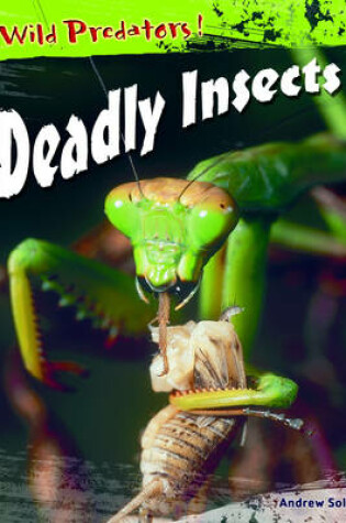 Cover of Wild Predators Deadly Insects