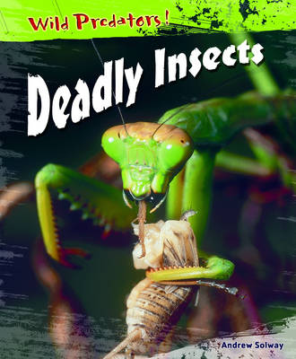 Book cover for Wild Predators Deadly Insects