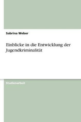 Cover of Einblicke in Die Entwicklung Der Jugendkriminalitat