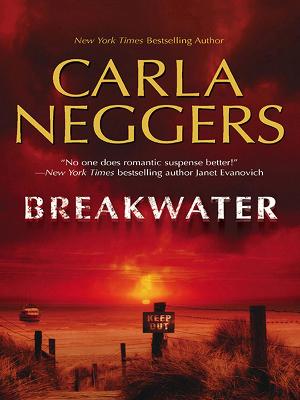 Cover of Breakwater