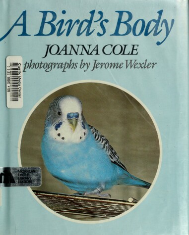 Book cover for A Bird's Body