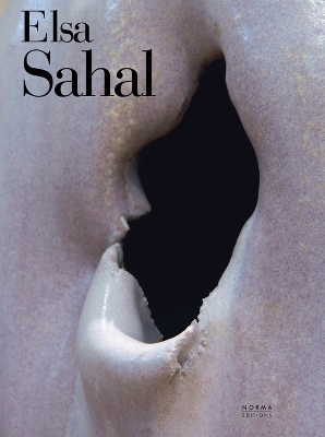 Book cover for Elsa Sahal