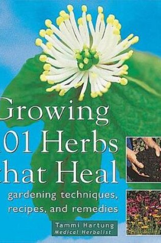 Cover of Growing 101 Herbs That Heal