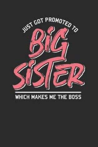 Cover of Just Got Promoted To Big Sister