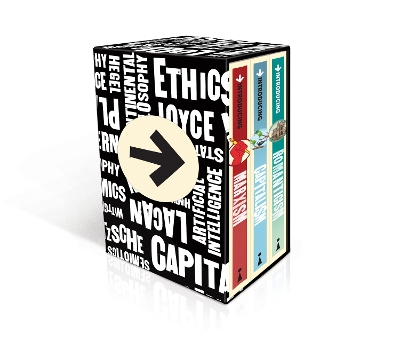 Book cover for Introducing Graphic Guide Box Set - How To Change The World