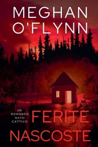 Cover of Ferite Nascoste