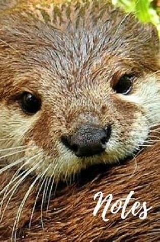 Cover of Otter Notebook